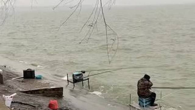 户外钓鱼！#钓鱼 #钓鱼的乐趣只有钓鱼人懂