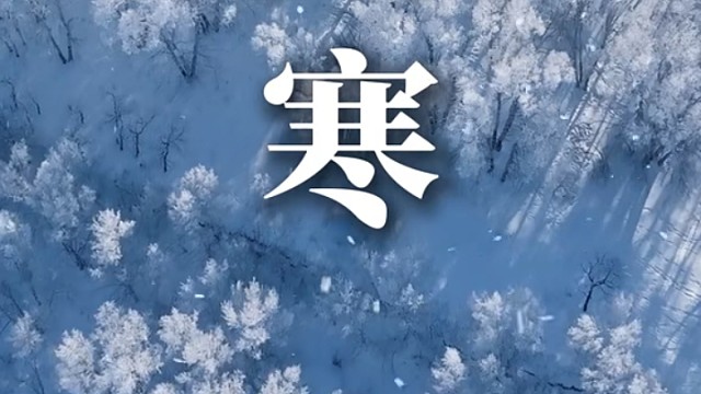 大寒是冬的结束，亦是春的开端。前路漫漫，是新年、是新生