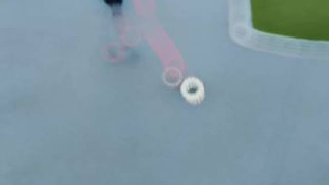 #你的猫孩子也是这样玩吗 #我镜头下的小猫 #成长小猫