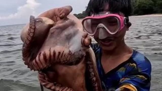 #捕鱼#户外捕鱼