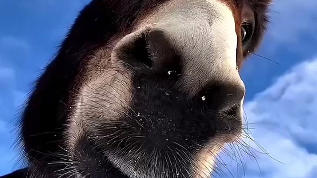 我发布了一个新视频，快来围观吧！