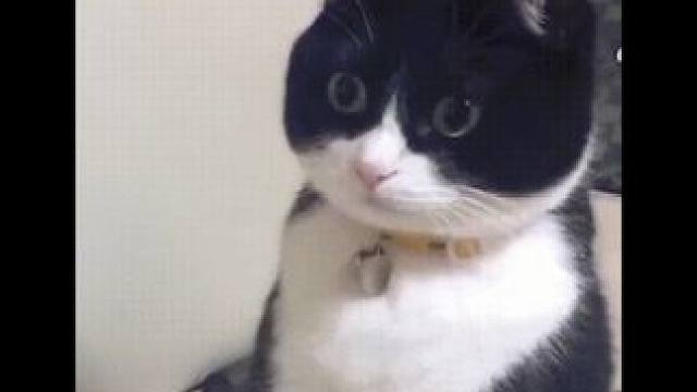 让老外看看我们的实力！#美妆 #好物分享