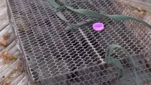 田鼠美食攻略 #舌尖上的美食 #农村美食记录生活 #田鼠美食 #东南亚美食