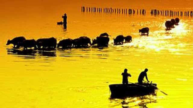 #身边的风景 #水天一色