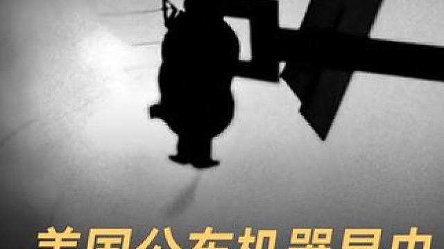 美国公布机器昆虫，替代真蜜蜂授粉 #机器昆虫  #蜜蜂  #人工智能  #科技  #科技改变生活