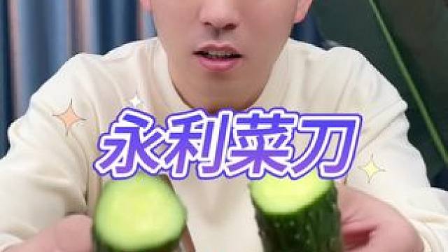 这个菜刀真的好用吗？ #测评 #菜刀 #切菜器 #斩切刀