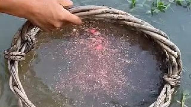 看看能过来几条鱼#这鱼哪个钓友看了不羡慕 #钓鱼 #钓鱼人就是这么疯狂 #测试