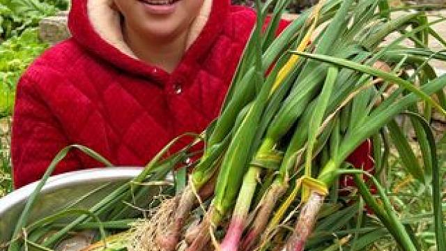 今天拔了很多蒜苗做一餐好吃 #美食 #农村生活 #美食分享