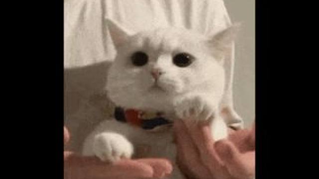 这回春节过年回家，可算有新游戏给我玩了!