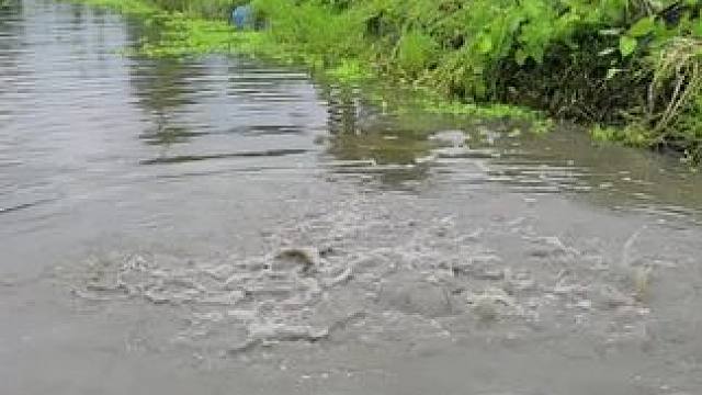 #内容启发搜索 #捕鱼 #撒网捕鱼#捕鱼达人