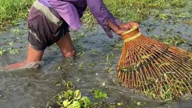 #内容启发搜索 #捕鱼