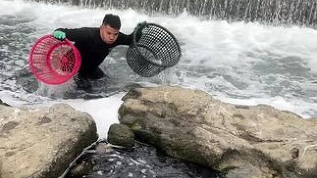 #内容启发搜索 #捕鱼#抓鱼#好多鱼