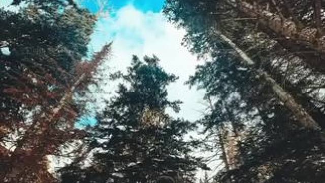 户外雪景拍摄构图技巧分享 #手机全景拍摄 #日常vlog #手机拍摄小技巧 #实用小技巧 #拍出电影