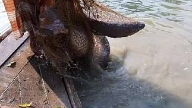 #内容启发搜索 #真实户外 #鱼获 #撒网捕鱼 #捕鱼