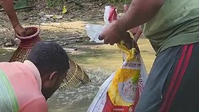 #内容启发搜索 #捕鱼