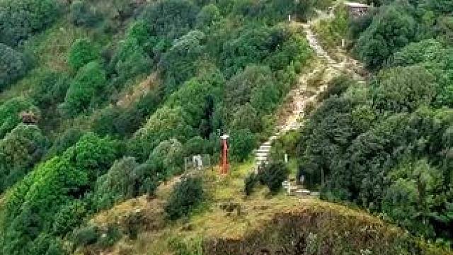 云南镇沅县金山丫口观景台#云南的冬日依旧色彩绚烂 #旅行推荐官 #金山丫口原始森林 #