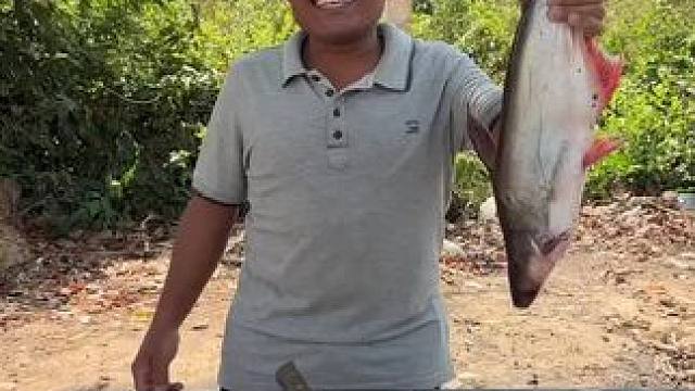 东南亚矮子来了 #农村美食记录生活 #把家乡的味道分享给大家 #舌尖上的美食 #爱生活爱美食 #内容