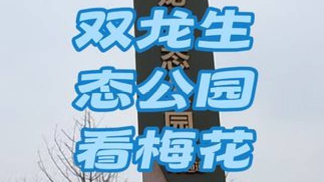 今天去看看双龙生态公园的梅花开了没 #户外游玩 #周末去哪儿 #亲子游玩好去处 #过年去哪玩 #贵阳