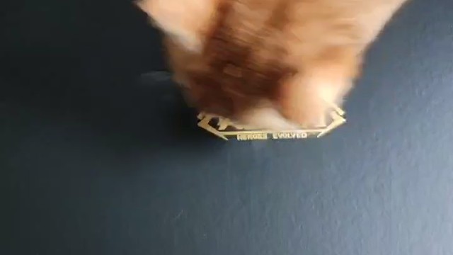 英魂之刃十周年礼盒