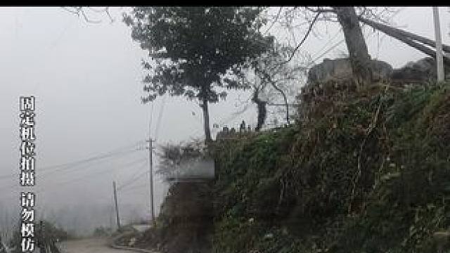 就我们村这条件，孤寡多是有原因的#农村 #回农村 #老家 #过年回家