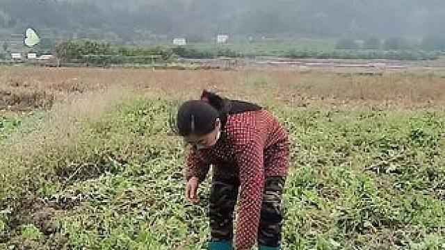 我发布了一个新视频，快来围观吧！