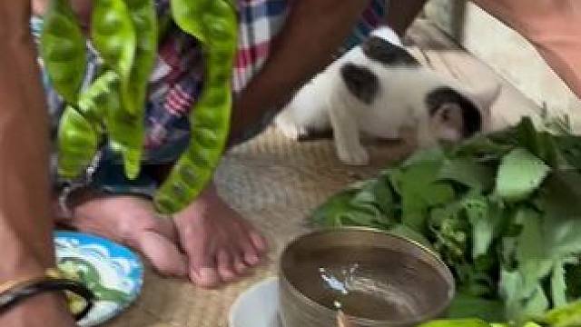 东南亚大叔 #爱生活爱美食 #东南亚美食 #把家乡的味道分享给大家 #舌尖上的美食 #内容启发搜索