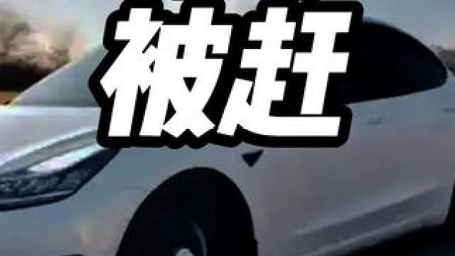 科目四还没考完，就被赶出考场#内容启发搜索 #考驾照 #科目四