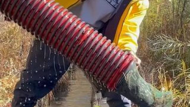 #户外捕鱼 #好多鱼