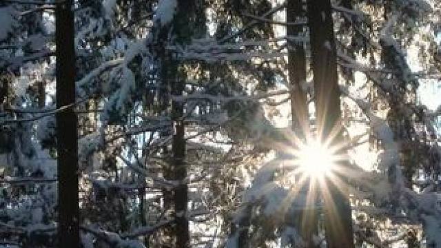 二手好声音～#语音厅 #点唱