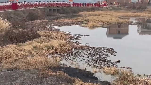 这是个女儿村吧？