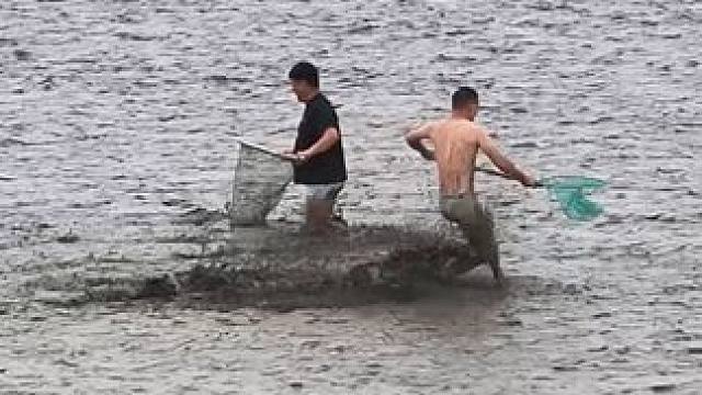 #钱塘西游捕鱼记 抢潮头鱼，是钱塘江一带居民的传统习俗，指钱江潮卷来时追赶潮水，捞取被潮水击昏之鱼。