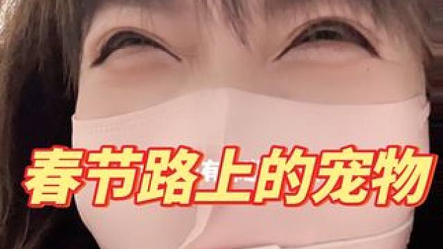 我们家狗能坐1个小时#内容过于真实 #网友神评论 #网友留言太搞笑