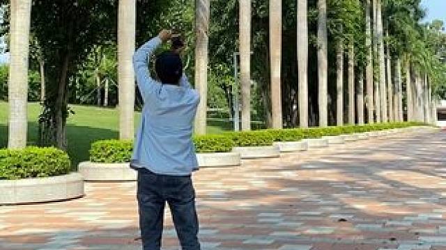 看到林荫小道试试这样拍太美了#手机摄影 #拍摄技巧 #林荫小道 #治愈系风景 #治愈系