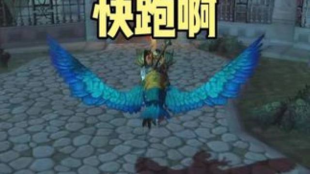 大神猎人 22竞技场的极限操作 #魔兽世界 #巫妖王之怒