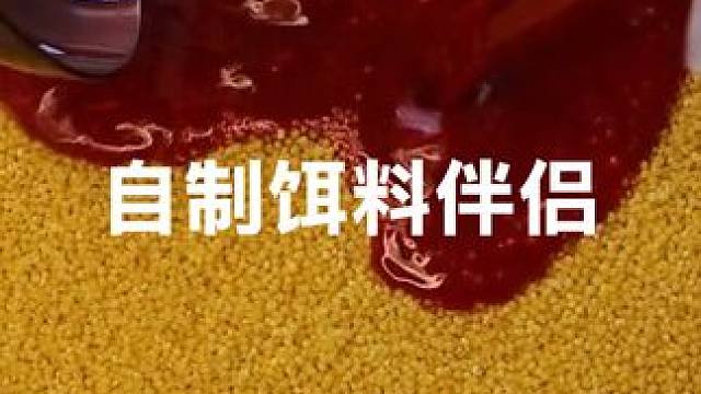 饵料伴侣自己做，野钓黑坑都好用 #鱼饵制作 #饵料 #自制饵料 #秘制饵料 #窝料制作