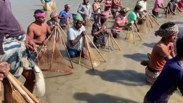 捕鱼#内容启发搜索 #户外捕鱼 #捕鱼 #捕鱼达人 #渔民日常