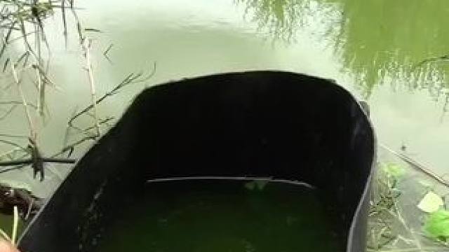 #内容启发搜索 #钓鱼 #钓鱼的乐趣只有钓鱼人懂 #逮鱼摸虾 #乡野田间