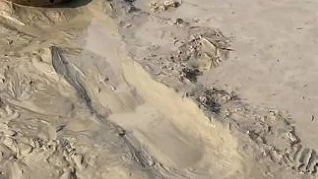 徒手抓鱼#内容启发搜索 #抓鱼 #渔民日常