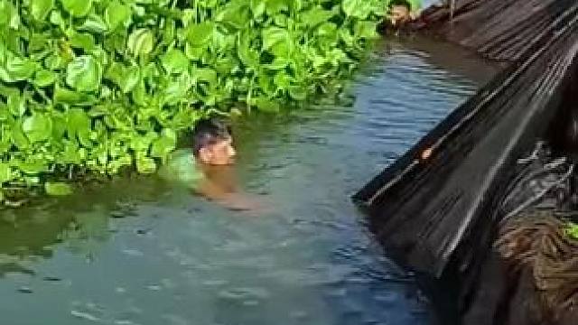 捕鱼#内容启发搜索 #捕鱼达人 #捕鱼高手 #捕鱼