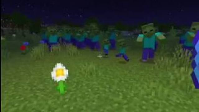 #我的世界 #Minecraft