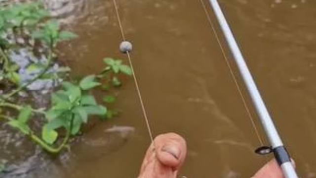 户外钓鱼#内容启发搜索 #钓鱼的乐趣只有钓鱼人懂 #真实户外 #钓鱼人就是这么疯狂 #钓鱼