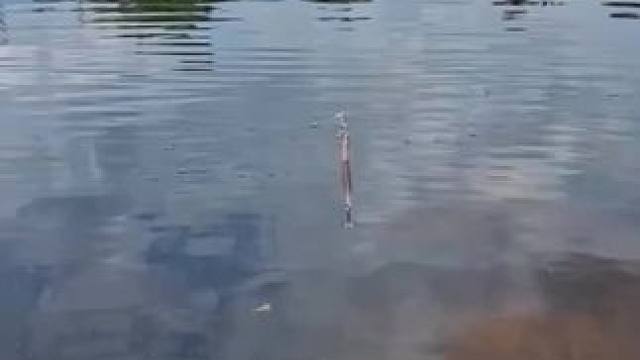 户外钓鱼#内容启发搜索 #钓鱼 #钓鱼的乐趣只有钓鱼人懂 #钓鱼人 #钓鱼爱好者