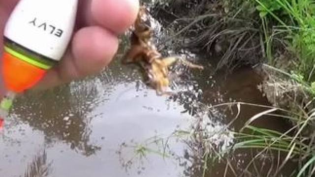 钓鱼#内容启发搜索 #真实户外 #钓鱼人 #钓鱼人就是这么疯狂 #钓鱼的乐趣只有钓鱼人懂