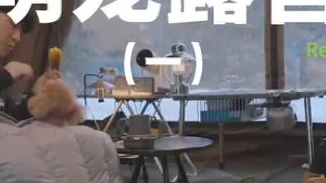 萌宠露营（一）#露营 #助眠 #解压 #萌宠 #户外露营