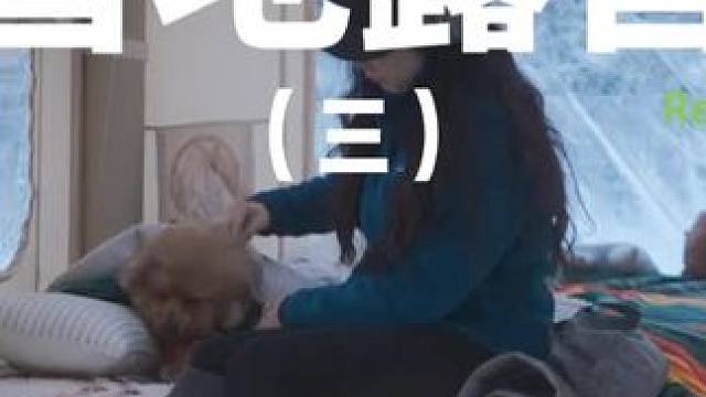 雪地露营（三）#露营 #助眠 #解压 #萌宠 #户外露营