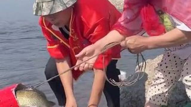 #户外捕鱼
