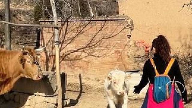 小山村里的风景，虽平淡，但耐看。也许生活并不便利，却最温暖的治愈。长大后才明白，平凡无奇的小村里藏着