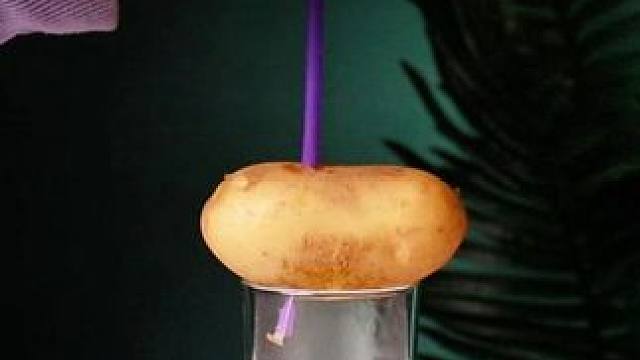 孩子经常看这套漫画物理化知识启蒙，能打下坚实的物理化基础和提升孩子科学思维#物理启蒙 #科学育儿