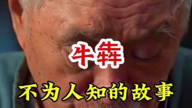 #明星背后故事 #内容启发搜索