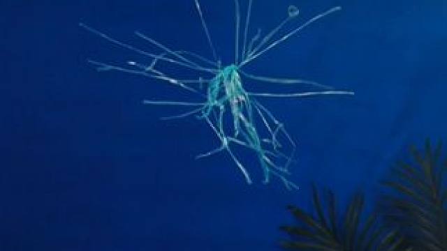 假期让孩子看真实的科学小实验，不仅提升科学知识，还能打下坚实的物理化基础#趣味实验 #物理启蒙